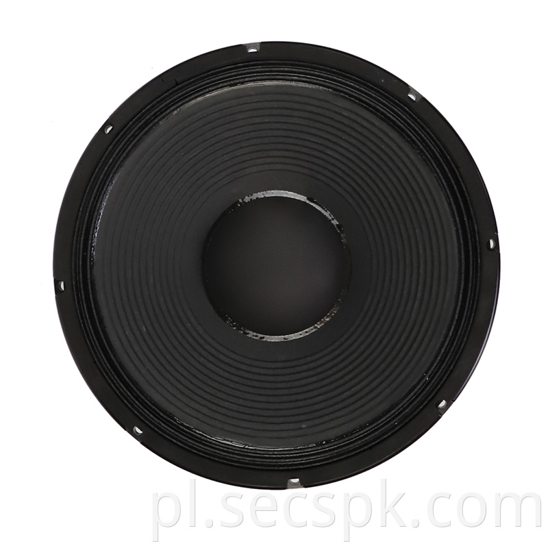 High Power Concert Speaker